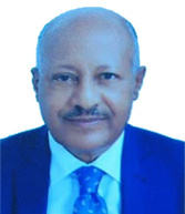 Berhanu AddisAlem